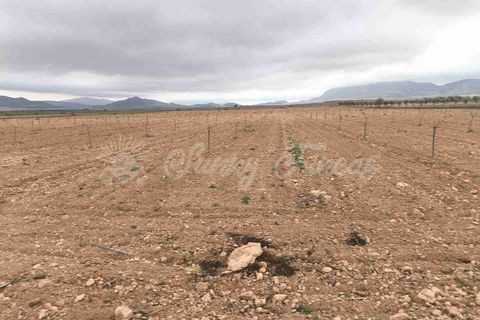 Helårsgrund i Yecla, Murcia, Yecla - € 47.000 | Ref: SF0566 - foto 8